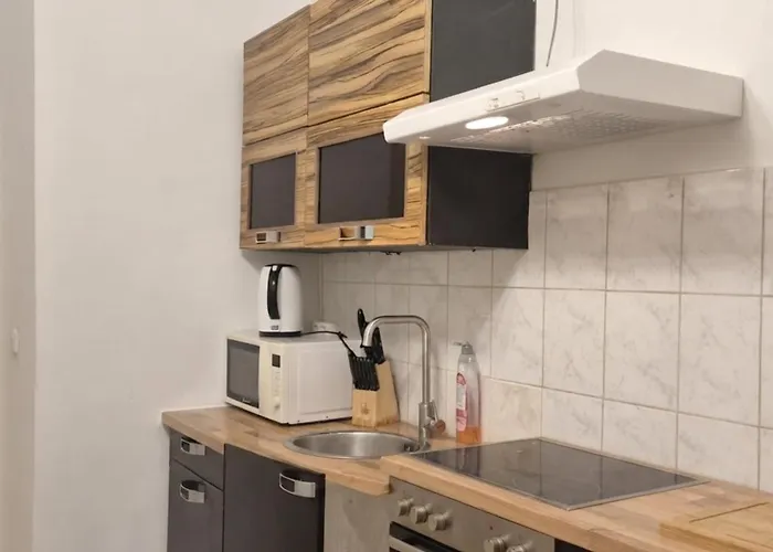 Apartmán Cozy 1br With Living & Garden Included Vídeň